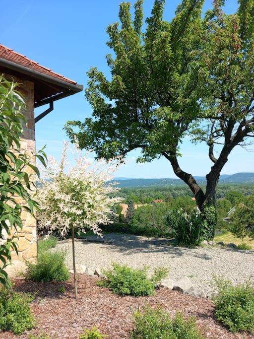 Ferienwohnung Donauresidenz Dunabogdány Exterior foto